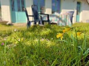 IMG-20210320-WA0001