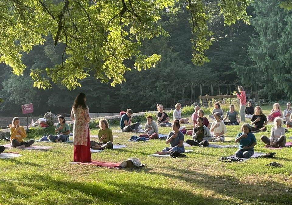 Het programma voor 2026